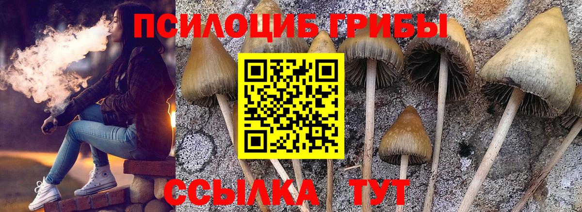 где купить   Галлюциногенные грибы Psilocybe  Вход с VPN  Железноводск 